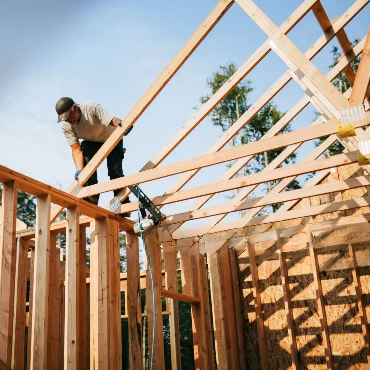 C24 graded timber use it for construction projects like roof trusses, and heavy-duty framing.
